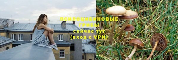 МДПВ Михайловск