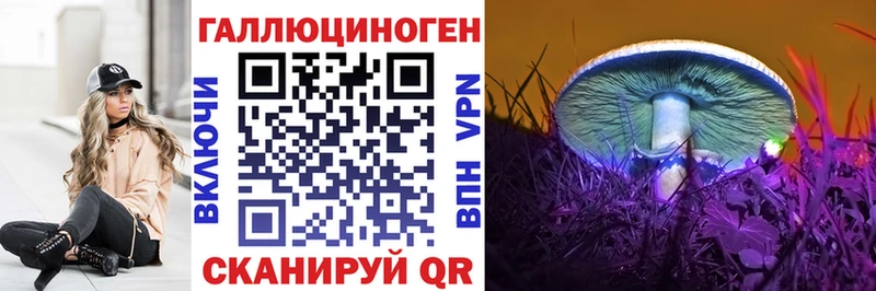 Галлюциногенные грибы Psilocybe  Покачи 